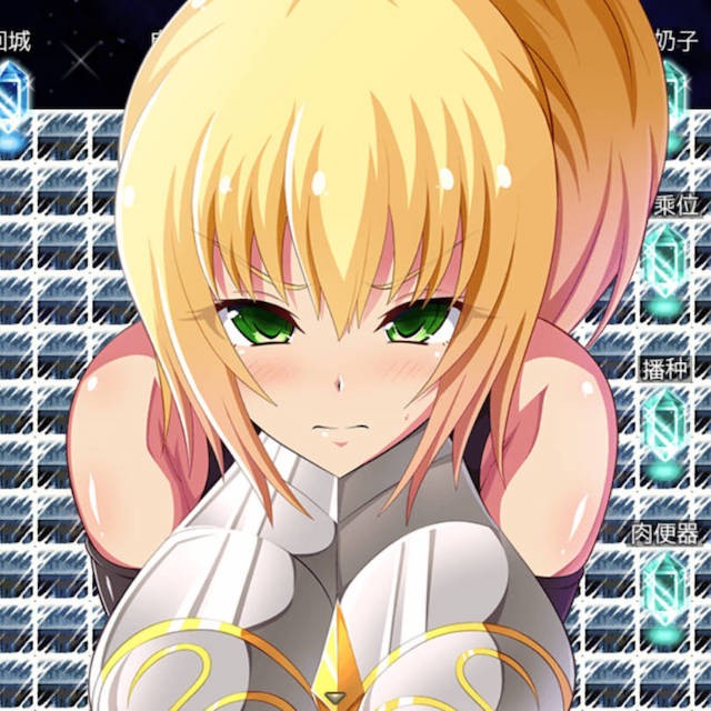 王国骑士塞达妮雅