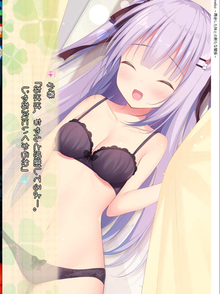 心猫~与再会的妹妹展开全新的关系~