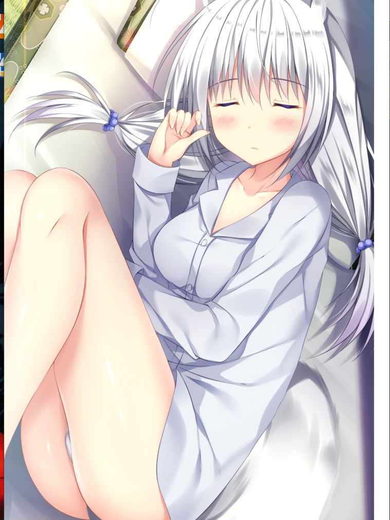 汪汪的嫁入～新的两条尾巴～