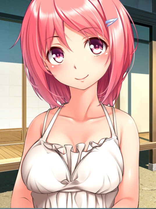 夏色姐妹～青梅竹马与盛夏秘事～