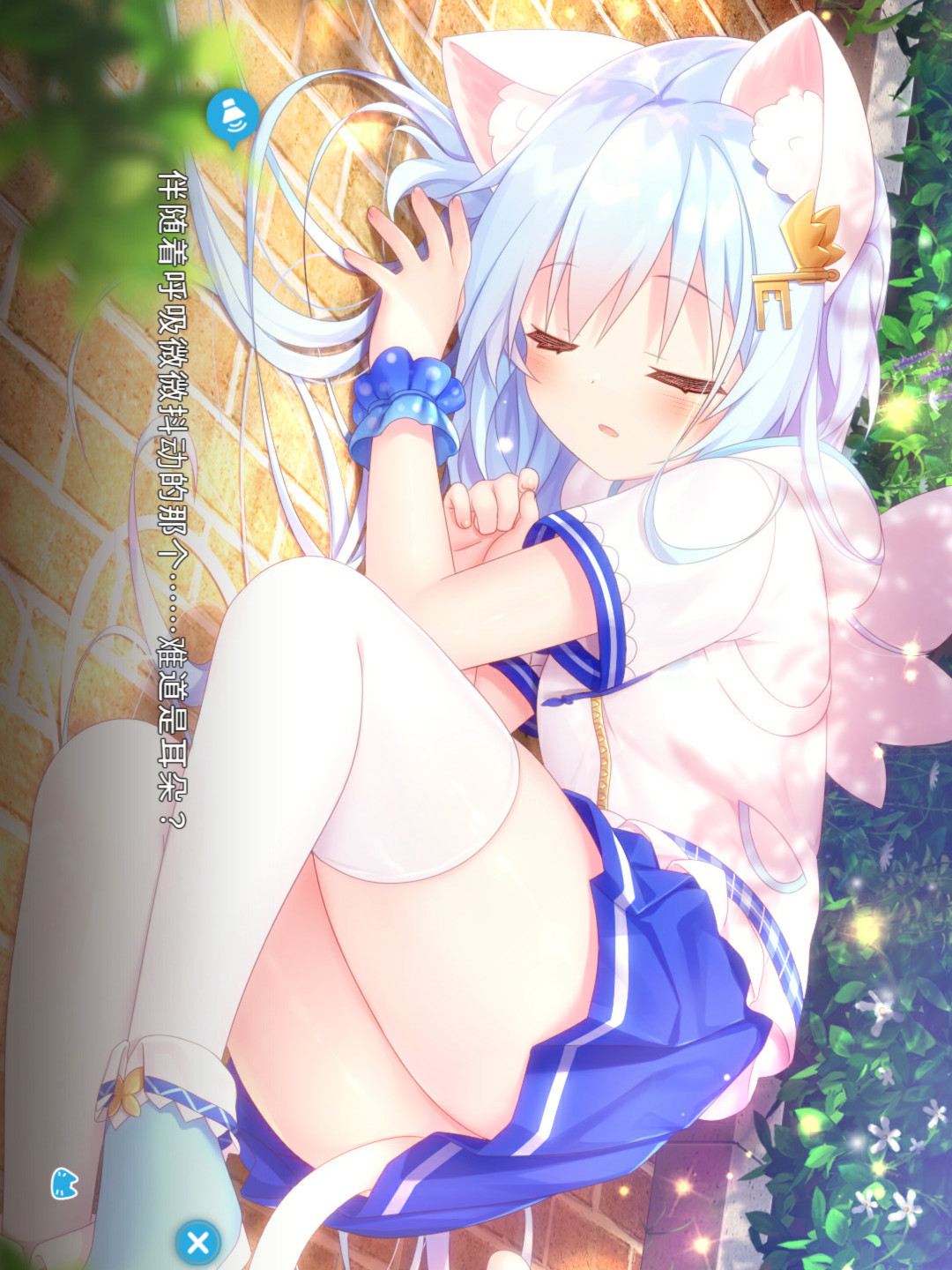 家喵二三事 Vol.1