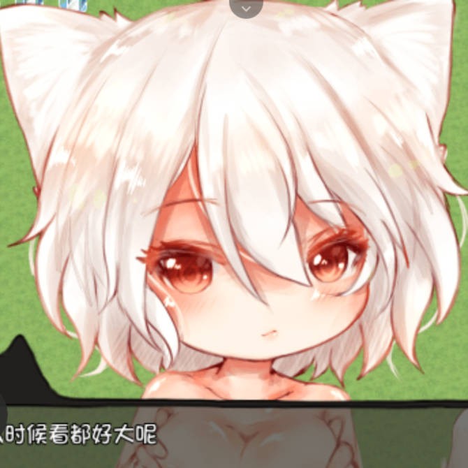 与喵咪们的奇怪日常