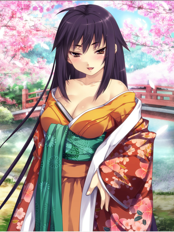 追二兔者不得一兔