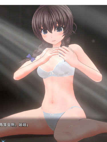 圣骑士莉卡物语：白翼与银翼的姐妹