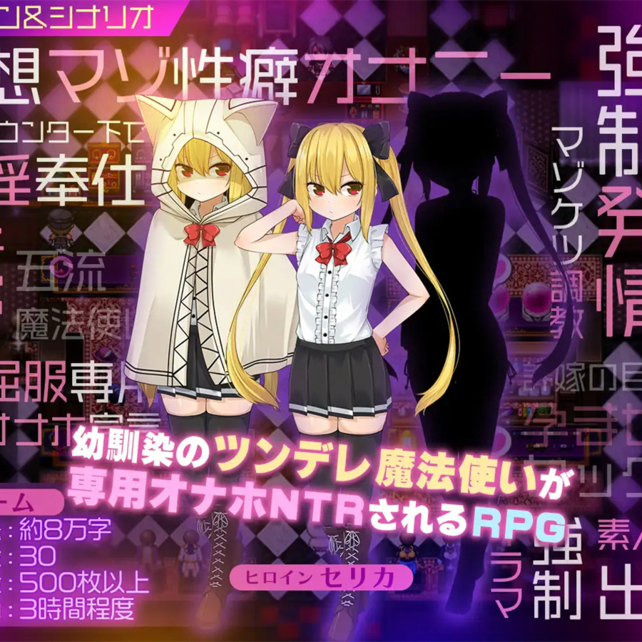 塞莉卡魔法 ～青梅竹马的傲娇魔法师在王都成人商店被NTR成专用肉便器篇～