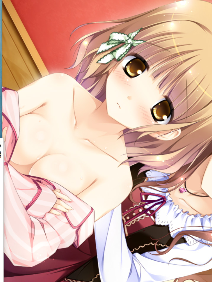 樱舞少女的轮舞