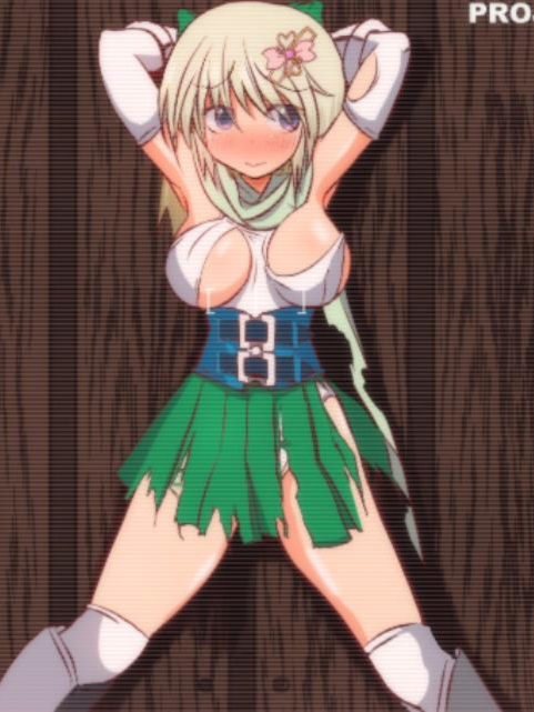 琳特·路克罗兹～圣盾骑士～