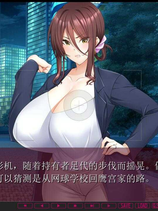 上流之妻~向名流母女的复仇H