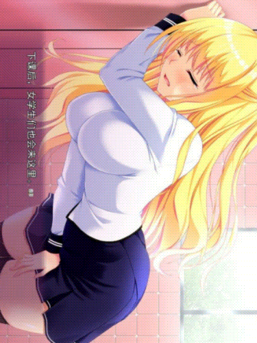 催眠淫乱校园~高傲副会长肉便器调教篇