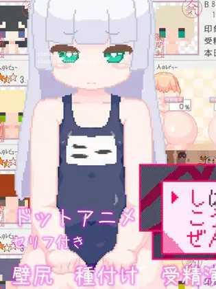 支配后辈全胜无败