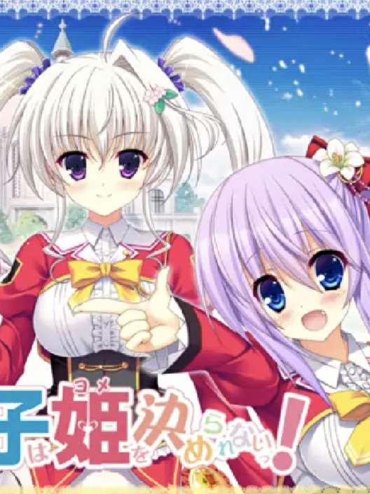 每天都是后宫王子（我）无法决定王妃（新娘）！