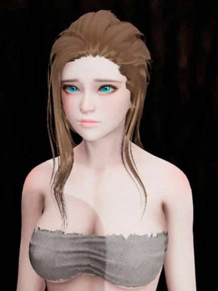 用奴隶建造一座城市