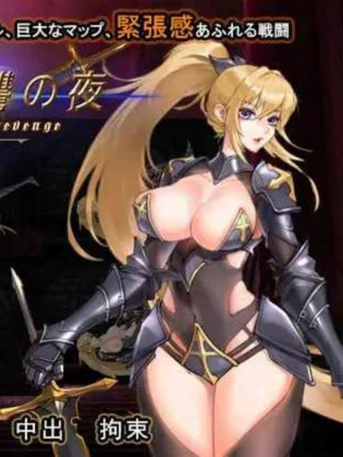 圣骑士复仇之夜