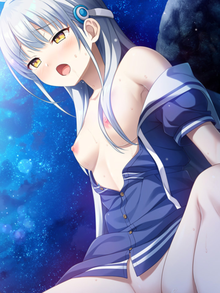 与鲨鱼共度的七日间