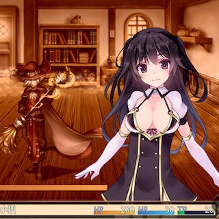 见习勇者与实现愿望的秘宝