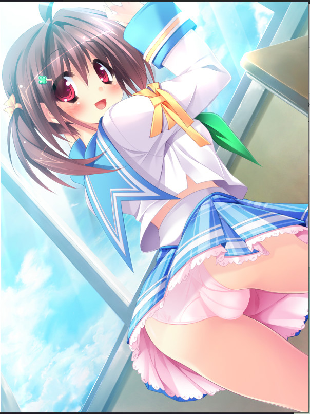 第二回妹选拔总选举~我的后宫历程将要开始~