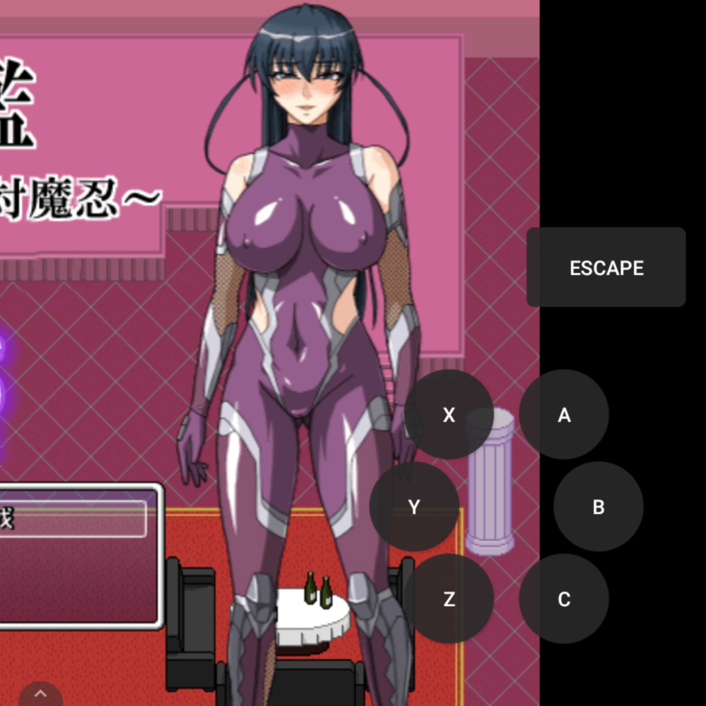 对魔忍阿莎姬：决战竞技场 (同人/二创作品可能性极高)