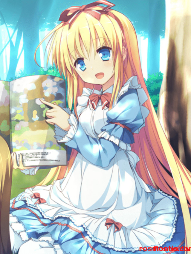 幸运草的约定 Plus