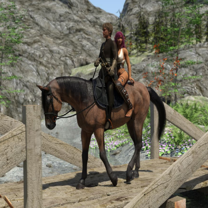 外交艺术和爱情