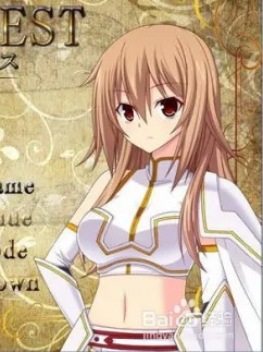 女圣骑士爱丽丝的受难