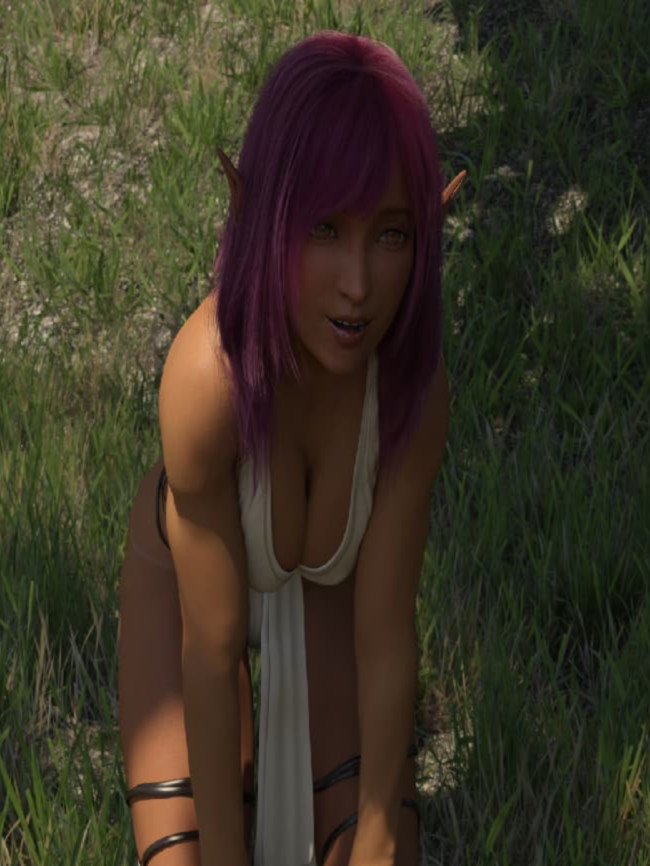 外交艺术和爱情