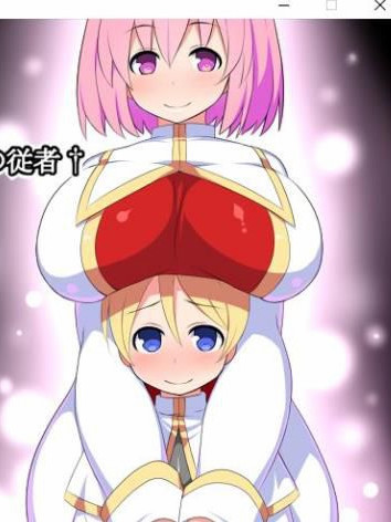 封印圣女与守护从者