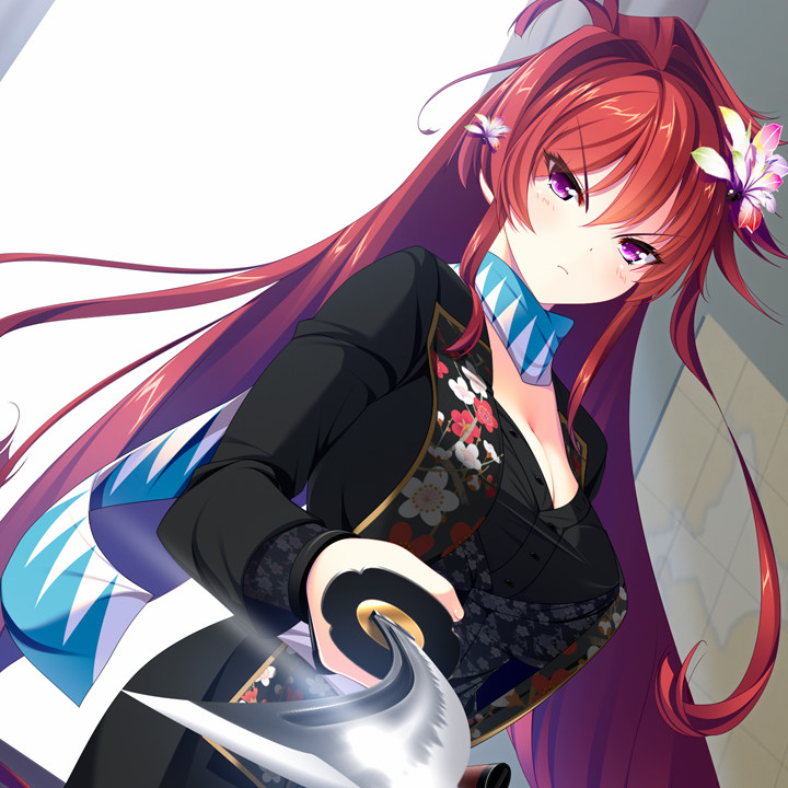 幕末尽忠报国烈士传 MIBURO