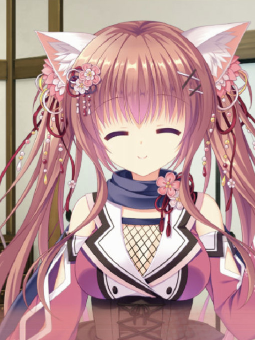 猫忍之心 +PLUS 彩羽