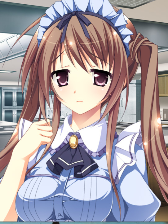 少女缔结的月夜煌めき Fullmoon Days / 乙女系列全明星舞台剧资料片