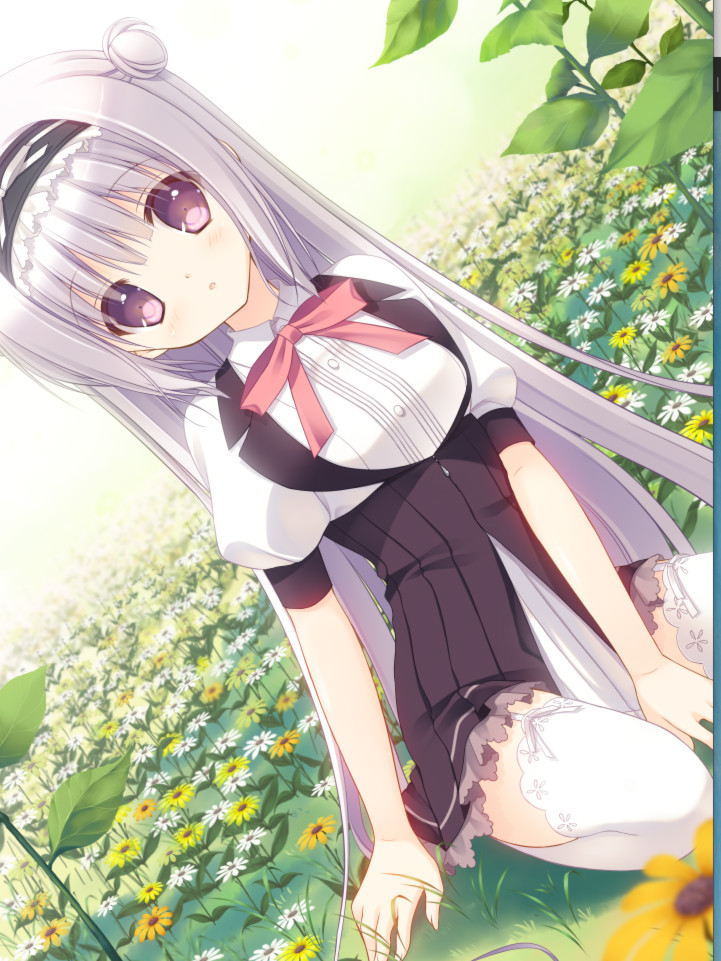 飞翔之羊与盛夏之花