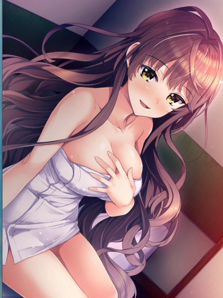 大小姐的一半是恋爱做成的！