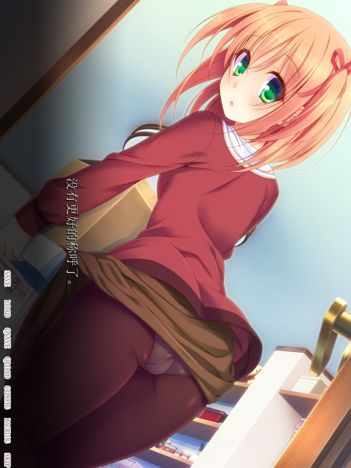 魔法少女的哥哥～拙劣谎言和不良少年～