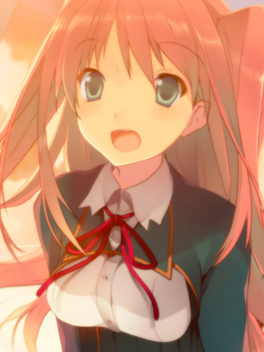 恋爱与选举与巧克力