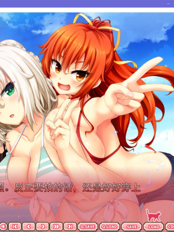 野良与皇女与流浪猫之心