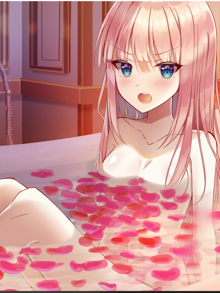 拿破仑少女 ～字典里没有不可能三个字的少女～