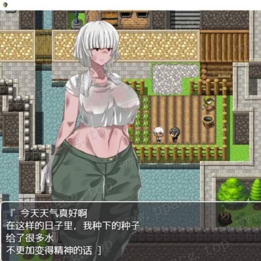 NPC奸2～在异世界疯狂侵犯NPC～