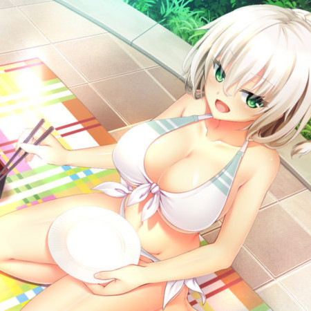 野良与皇女与流浪猫之心