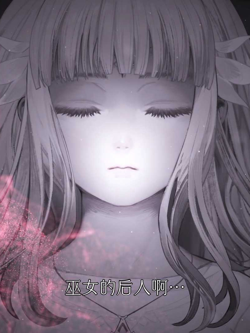 终结的百合花：骑士们的救赎