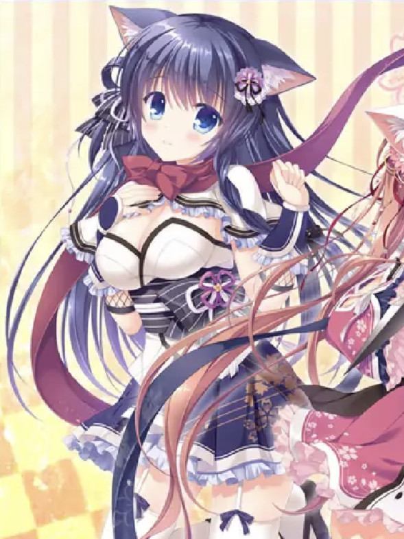 猫忍之心 +PLUS 奈知