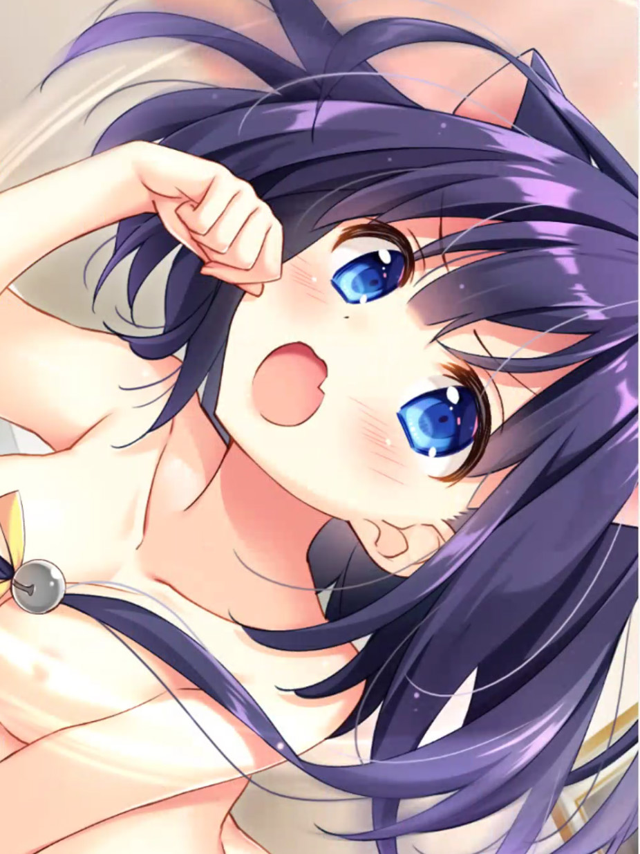 猫神大人与七颗星星