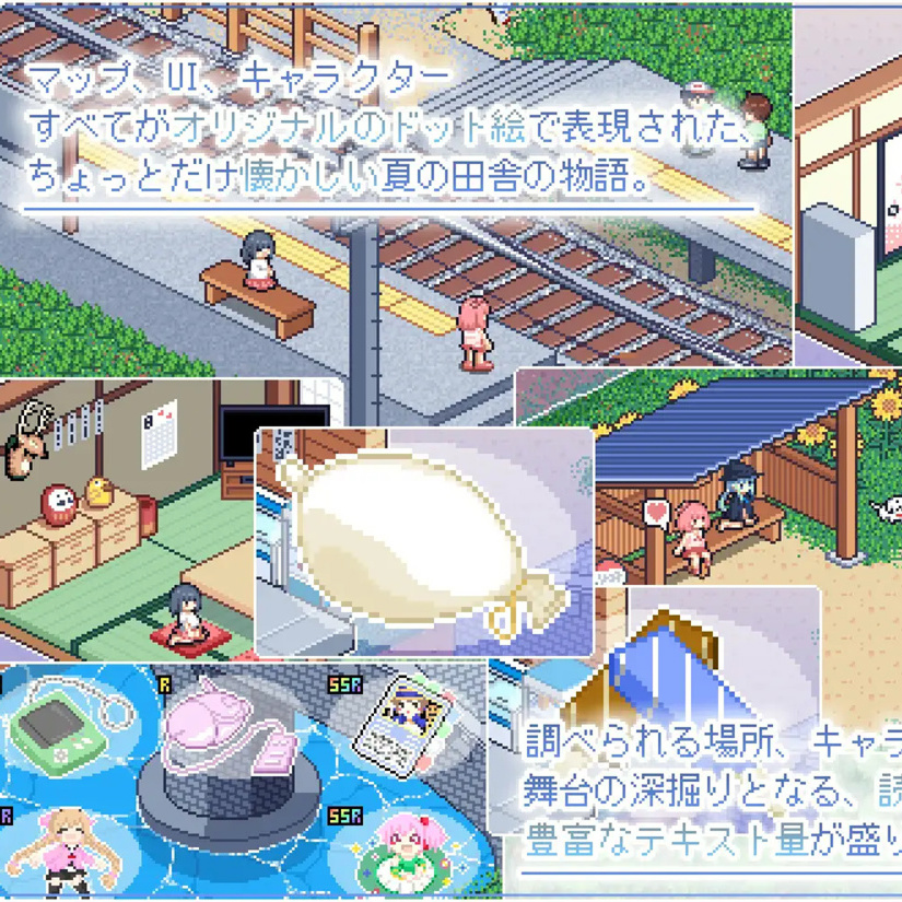 寻找夏日的宝物