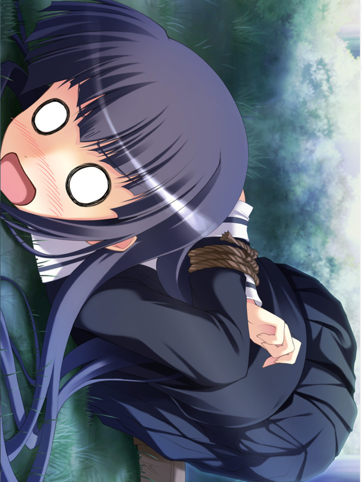 秘密游戏2：反叛