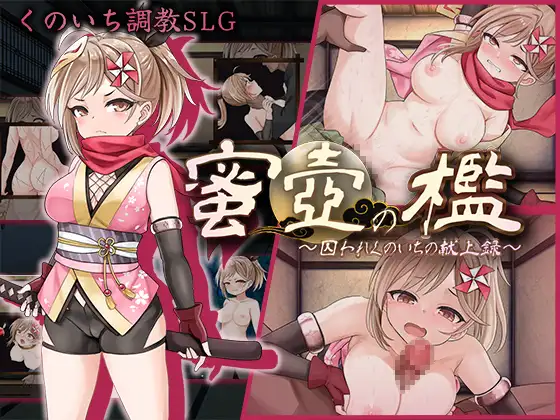 SLG/汉化丨蜜壶之笼~被囚禁的女忍者的献上记录~/蜜壺の檻~囚われくのいちの献上録~AI汉化版【20250222】 游戏截图 1