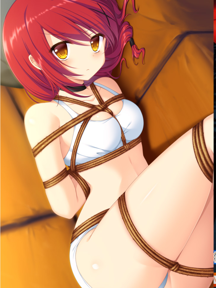 忍者少女与都市传说怪物的神秘军团