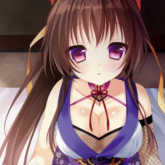 乱雪月华 ～月夜的淫舞、疯狂的契约～