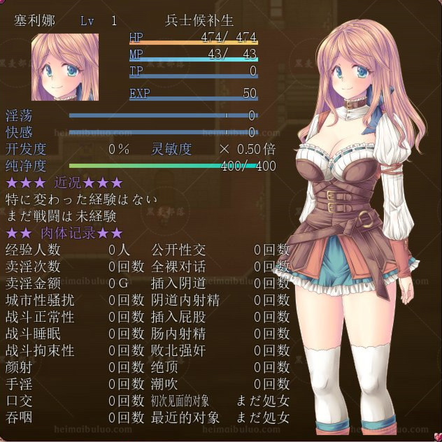 纹章少女～公主的贴身护卫～