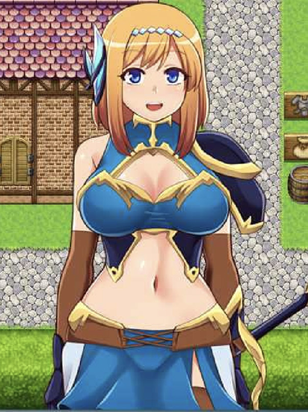 目标是成为姬骑士！