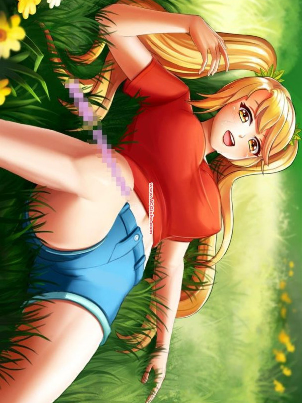 二次元老婆的秘密