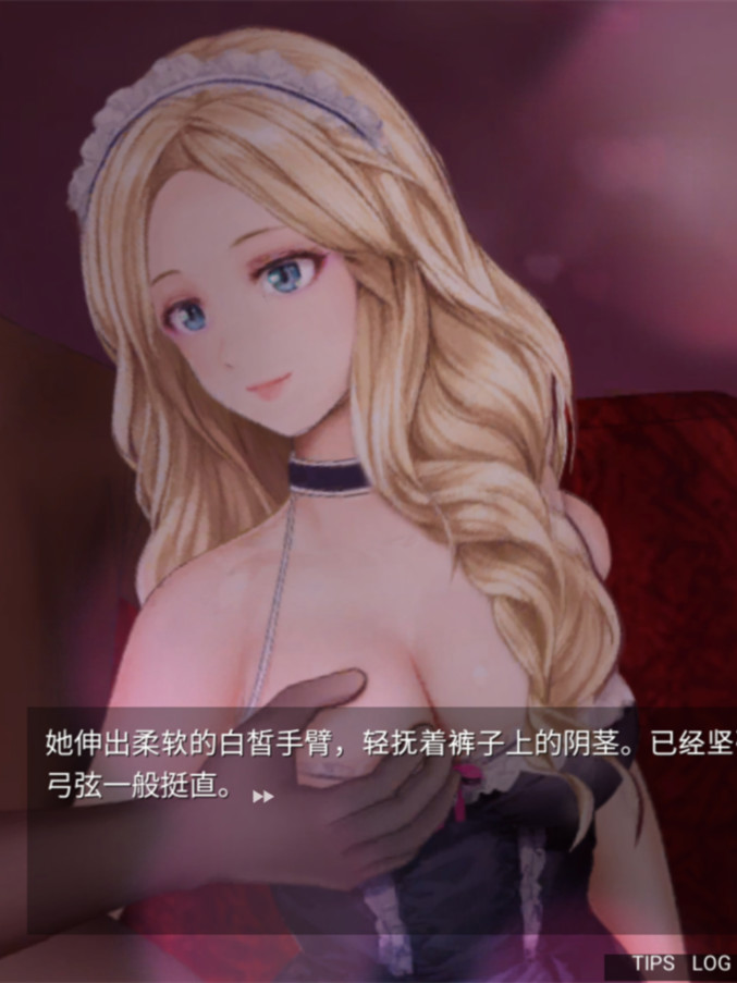 对魔忍系列 (此处特指民间俗称的'铁匠'系列，实为Black Lilith社作品)