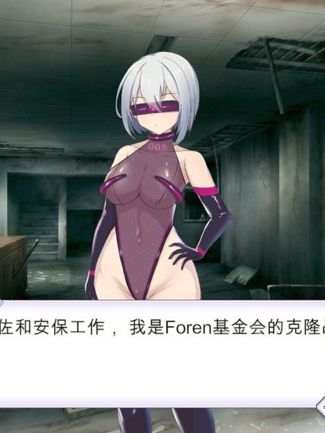 圣核战姬毁灭作战